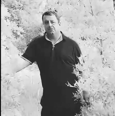 مهراب منصوری