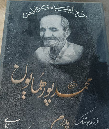 محمد پور همایون