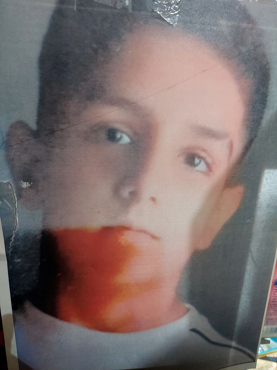 ابوالفضل وحیدی