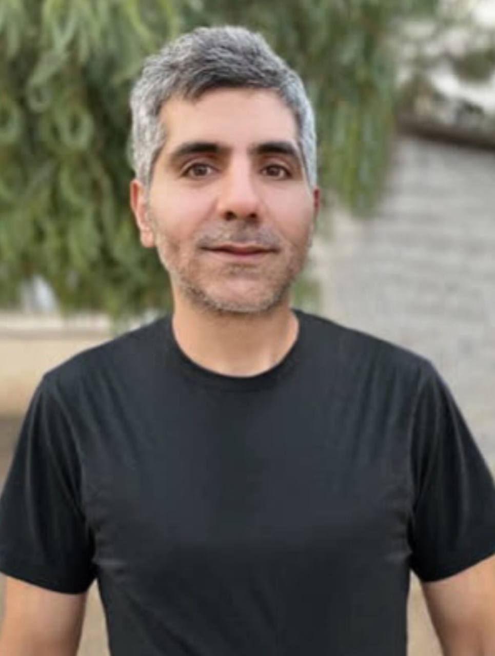 وحید گراییلی